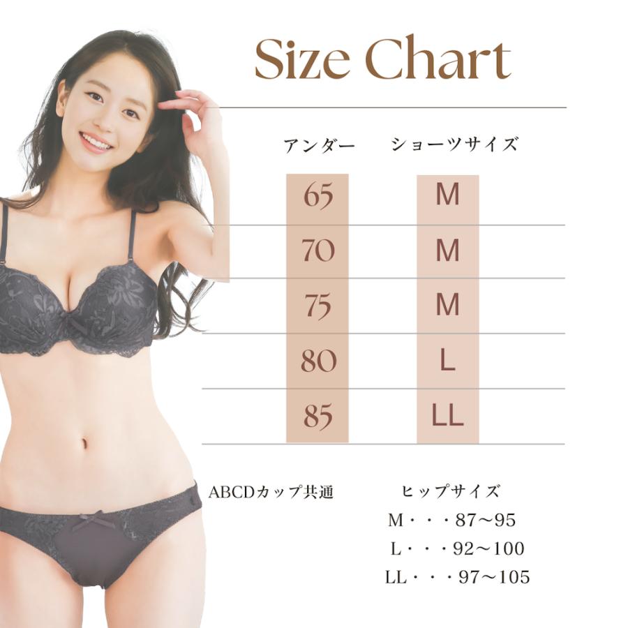 ブラセット 福袋 セクシー 5枚組 ワイヤー 上下セット ブラジャー