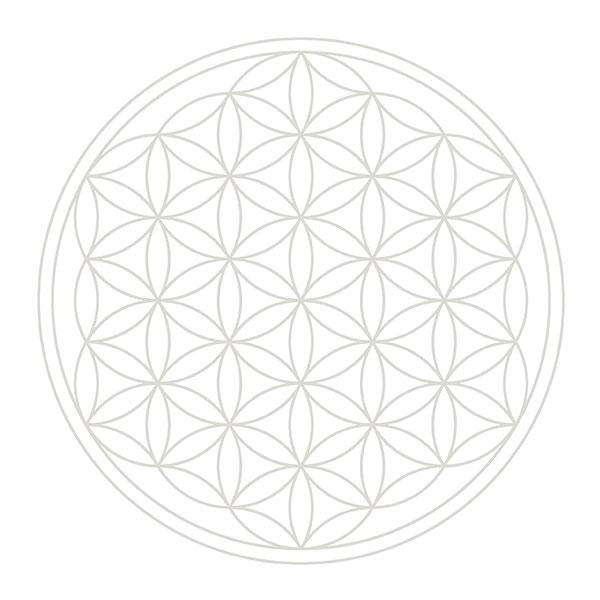 Nature's Design （ネイチャーズデザイン） Thank you ナチュラル
