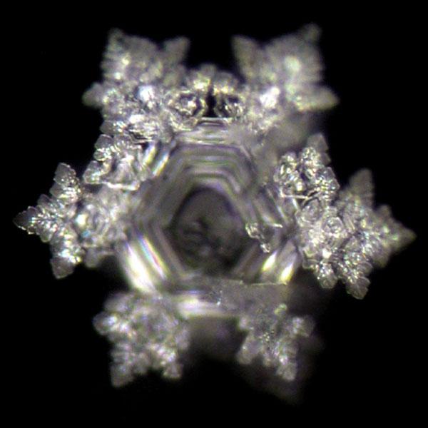 Nature's Design （ネイチャーズデザイン） Thank you ナチュラル