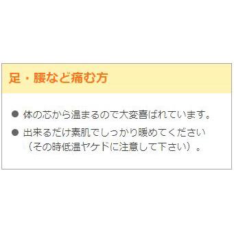 【プレマ限定モデル】 遠赤外線セラミックパネルヒーター サンラメラ with フラワーオブライフ 600W レッド（0624型）【豪華特典付】 |  | 15