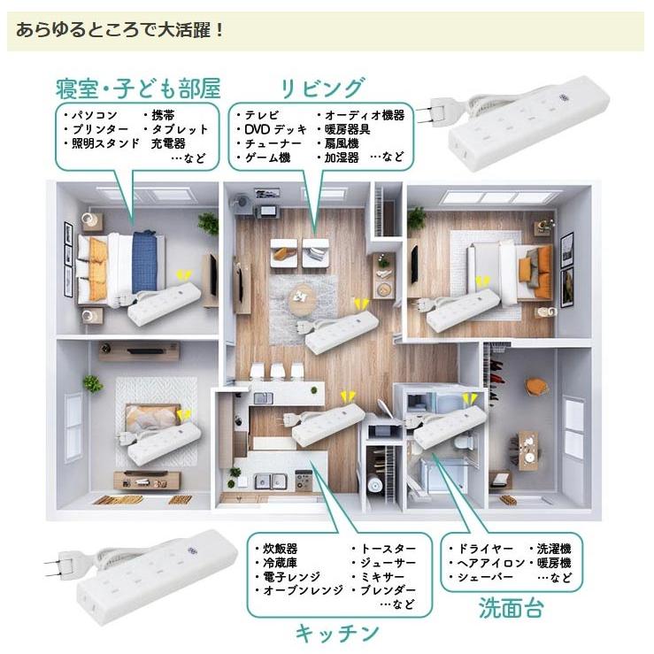 ベータ・ジーニアス Light（ライト） （βジーニアス Light） 5ケ口 有害な電磁波を有益化する発想の未来のコンセント |  | 06