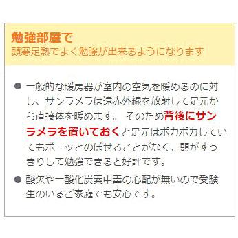 【プレマ限定モデル】 遠赤外線セラミックパネルヒーター サンラメラ・インダストリアル with フラワーオブライフ 600W／06210型 【豪華特典付】 |  | 10