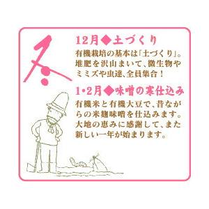 金沢大地  オーガニックわたしのぬか床 1kg |  | 10