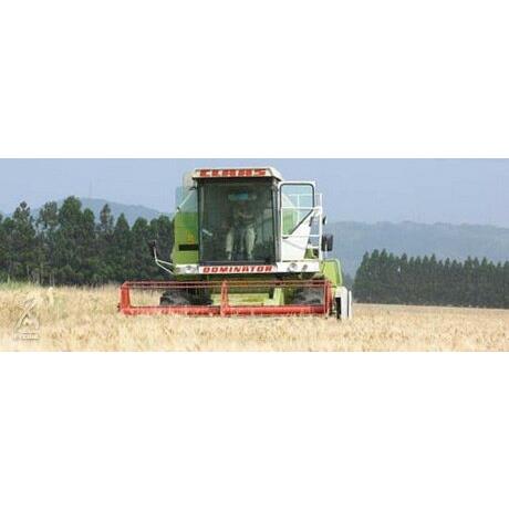 金沢大地  オーガニックわたしのぬか床 1kg |  | 04