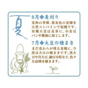 金沢大地  オーガニックわたしのぬか床 1kg |  | 08