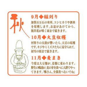 金沢大地  オーガニックわたしのぬか床 1kg |  | 09