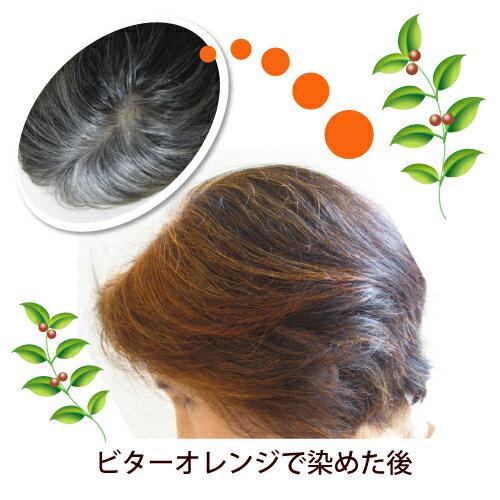 グリーンノート ヘナ オーガニータ ビターオレンジ 100g |  | 01