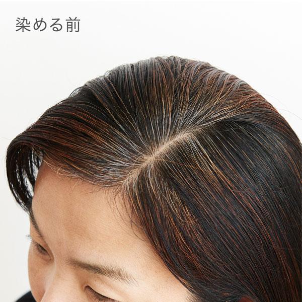 ナイアード ナチュラルハーブ　ヘナ+木藍(茶系) 100g |  | 02