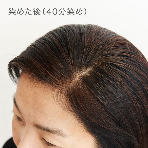 ナイアード ナチュラルハーブ ヘナ+木藍(茶系) 400g : プレマ