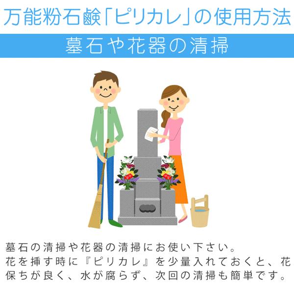 3世ピリカレ 1kg : プレマシャンティ - 通販 - Yahoo!ショッピング