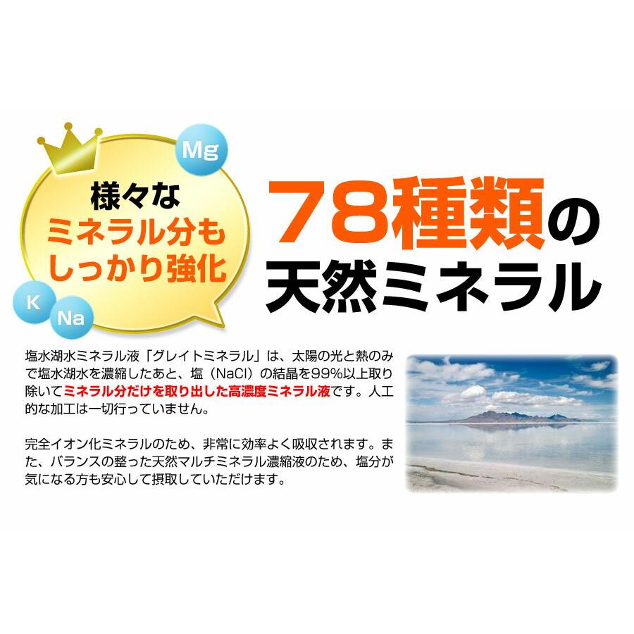 元気☆がまんの素 個包装タイプ 120g（2g×60包） ×3箱 |  | 09