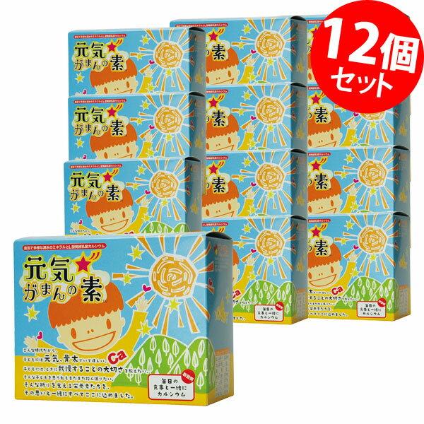 元気☆がまんの素 個包装タイプ 120g（2g×60包） ×12箱 | 