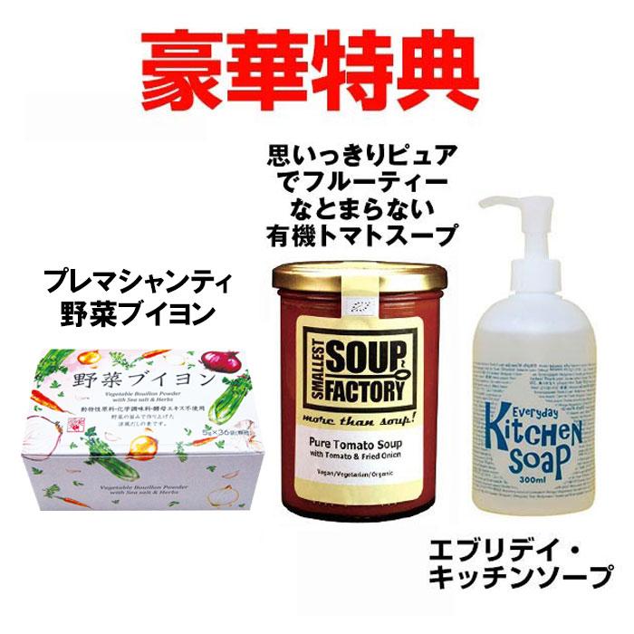 パワー・スチームオーブン NEW グランシェフ ＜直送品＞ : プレマ