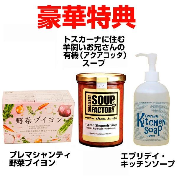 クッキングヒーター ソーサリーIII MSI-310 ベーシックセット