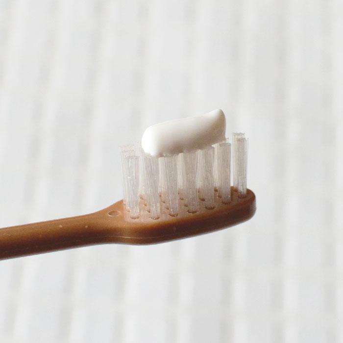 元気白い歯の素 （ＧＳＥ練歯みがき） 100g×10本セットの画像