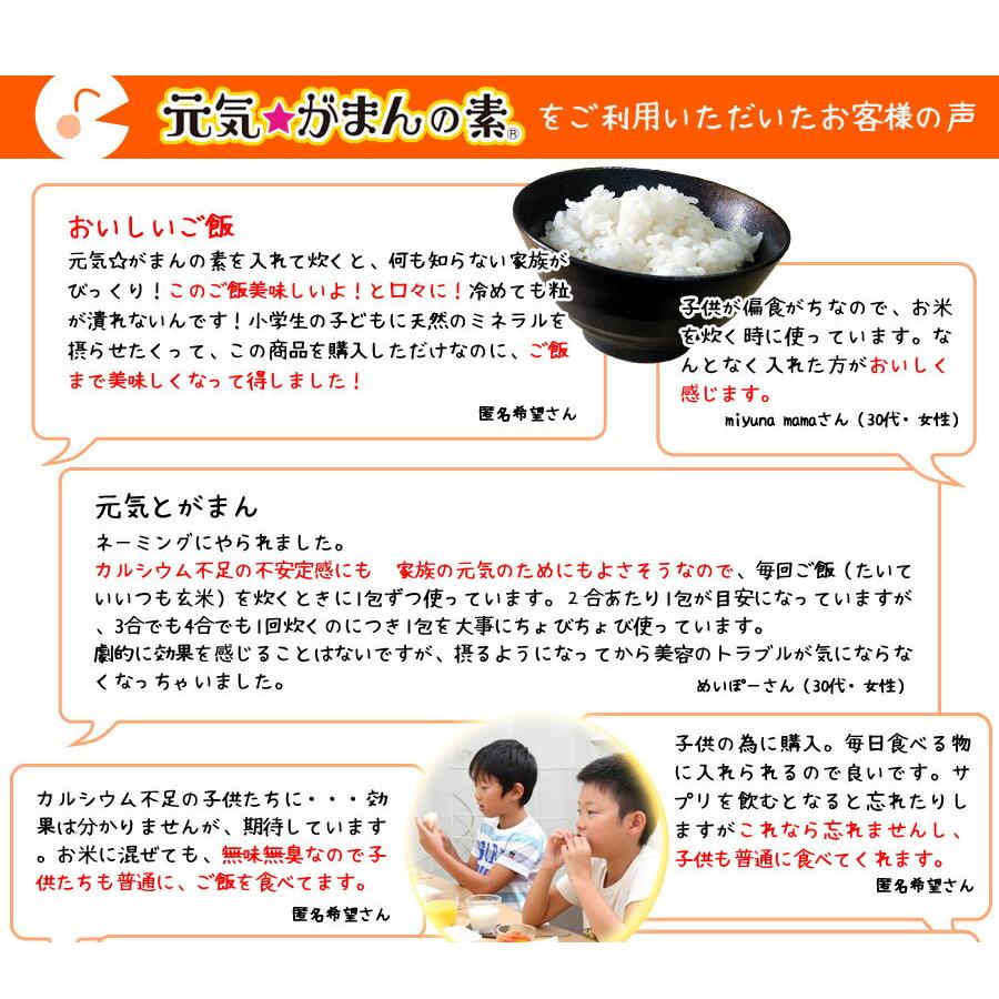 元気☆がまんの素 パウチパック（200g）×3個_4