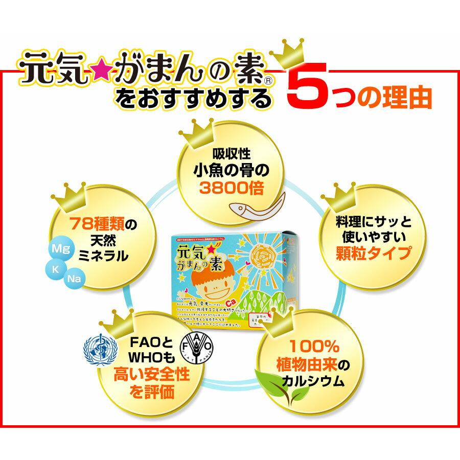 元気☆がまんの素 パウチパック（200g）×6個