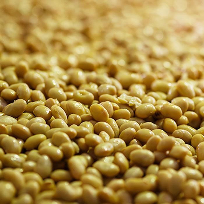 オーサワの国産立科米みそ 650g |  | 02