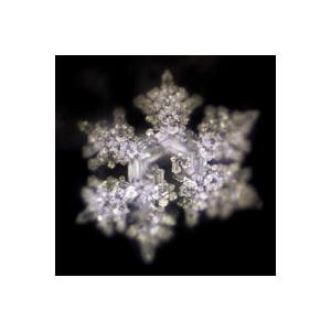 Nature's Design （ネイチャーズデザイン） ジャスミナ・グラス ゴールデン Flower of Life |  | 03