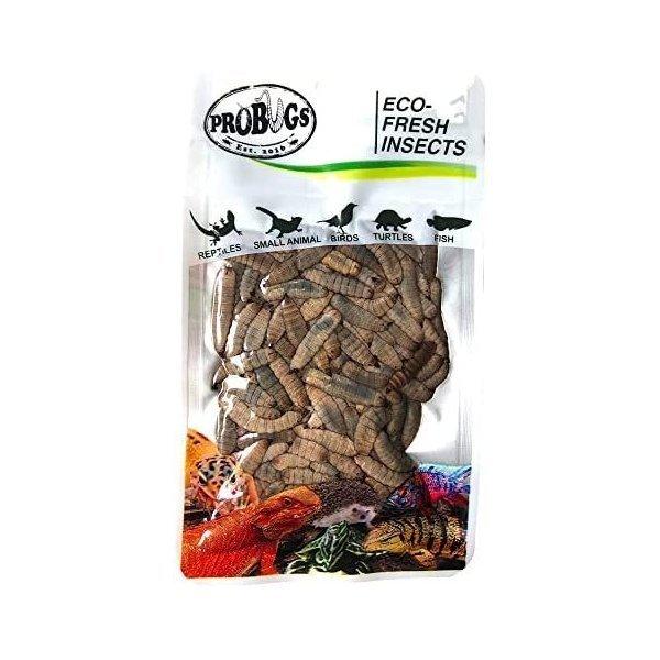 PROBUGS ブラックソルジャーフライラバー 20g petsB08DTQN34DLIZ Premier 通販 Yahoo