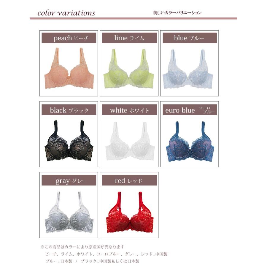 Premier ブラジャー ぶらじゃー フルカップ 育乳 高級下着 上品
