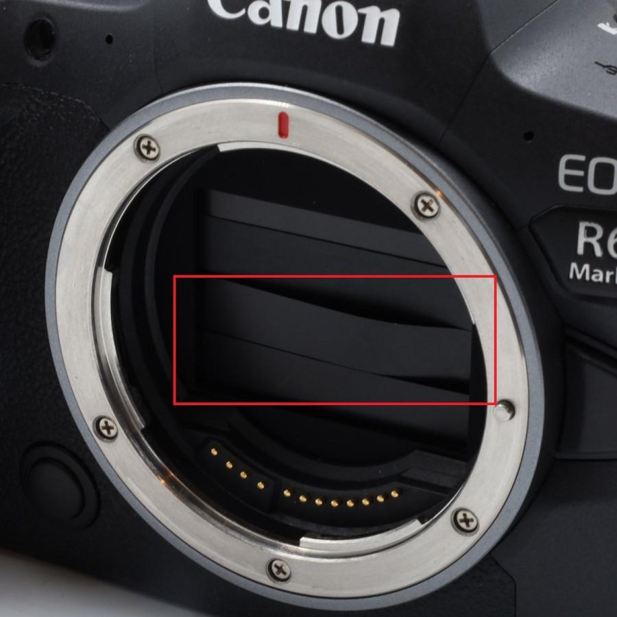 キヤノン（Canon） 中古 1年保証 良品 Canon EOS R6 Mark II ボディ