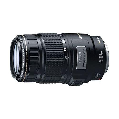 キヤノン（Canon） 中古 1年保証 美品 Canon EF 75-300mm F4-5.6 IS