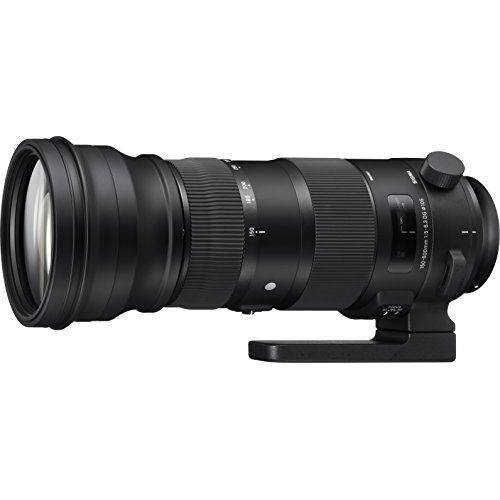 シグマ（SIGMA） 中古 1年保証 美品 SIGMA Sports 150-600mm F5-6.3 