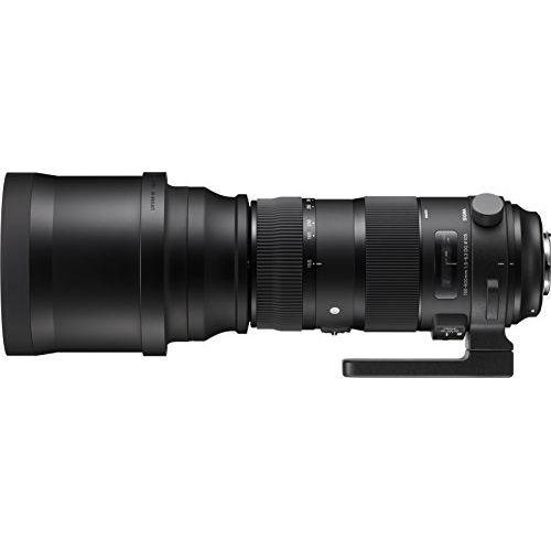シグマ（SIGMA） 中古 1年保証 美品 SIGMA Sports 150-600mm F5-6.3