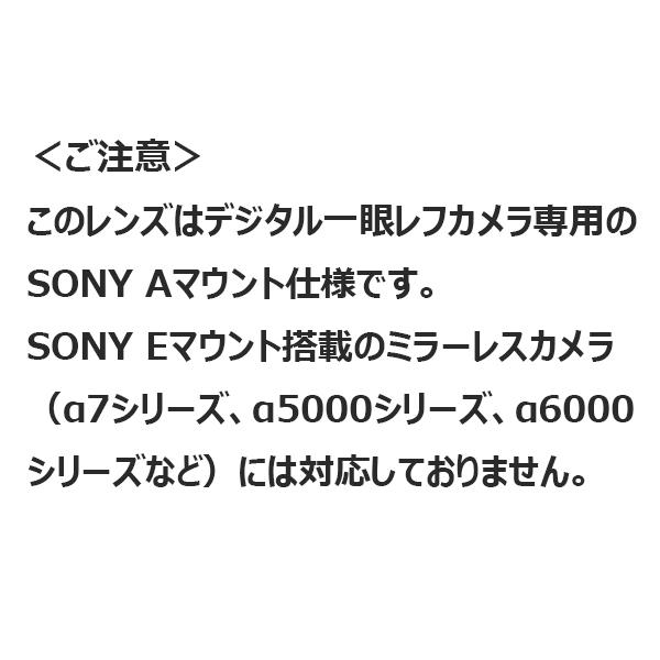SONY（ソニー） 中古 1年保証 美品 SONY 50mm F2.8 Macro [SAL50M28