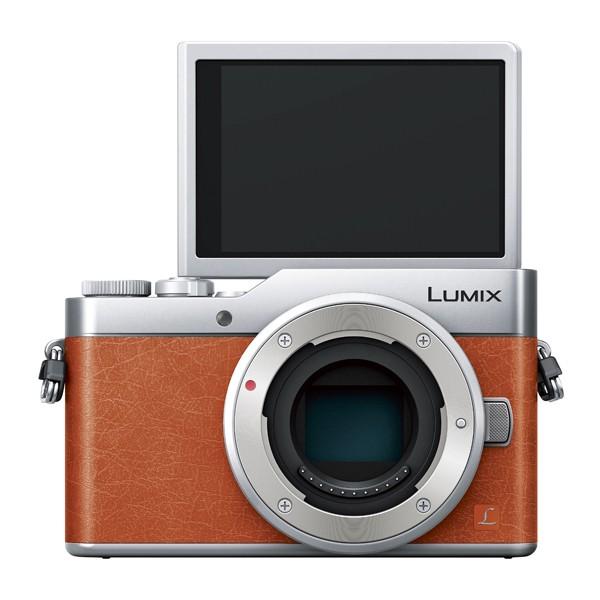 Panasonic 中古 1年保証 美品 LUMIX DC-GF9W ダブルレンズキット  