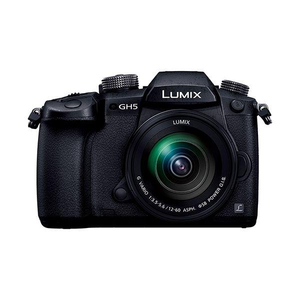 Panasonic（パナソニック） 中古 1年保証 美品 Panasonic LUMIX GH5