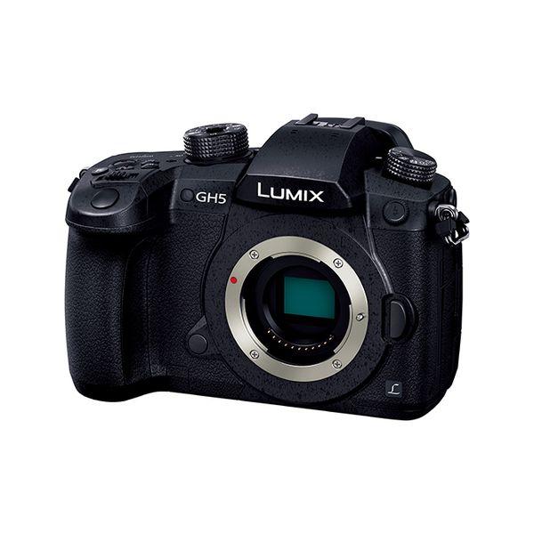 Panasonic（パナソニック） 中古 1年保証 美品 Panasonic LUMIX GH5