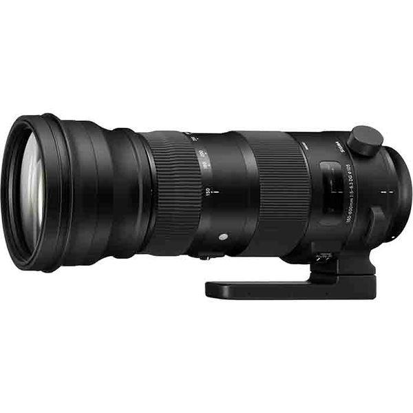 シグマ 中古 1年保証 美品 SIGMA Sports 150-600mm F5-6.3 DG シグマ 中古 1年保証 美品 SIGMA Sports 150-600mm F5-6.3 DG