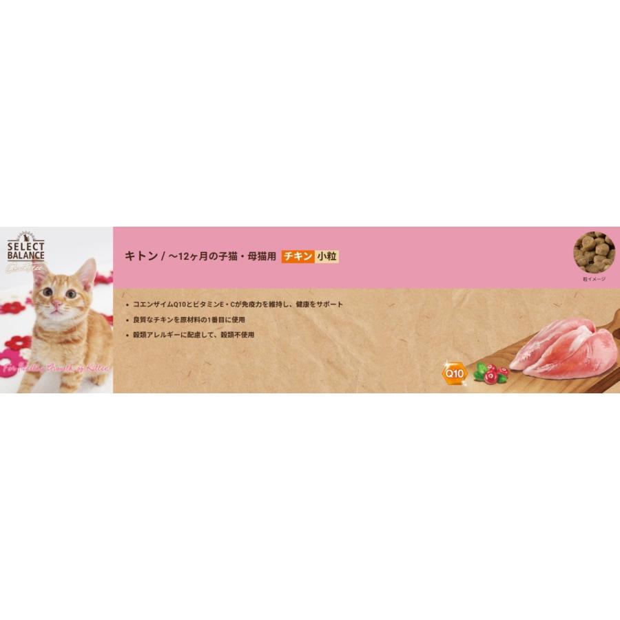 セレクトバランス＊キトン 10kg＊チキン 子猫 母猫用＊グレイン