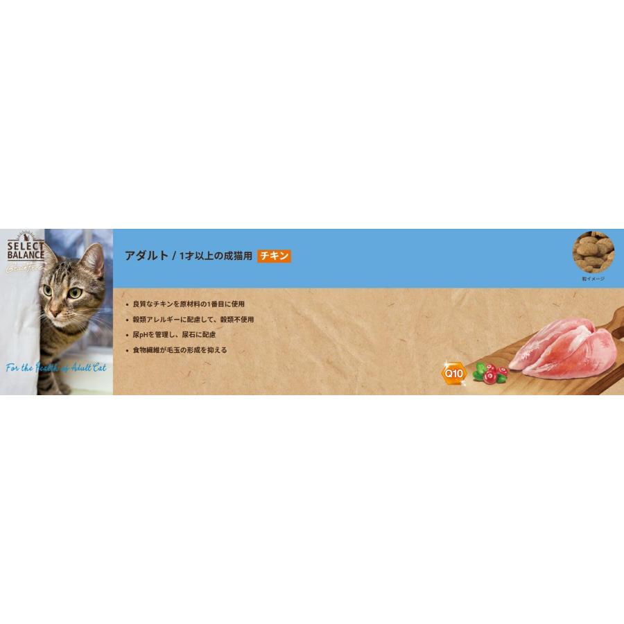 1.6kg2袋　セレクトバランス 　 アダルト チキン 猫 セレクトバランス グレインフリー アダルト チキン（成猫用