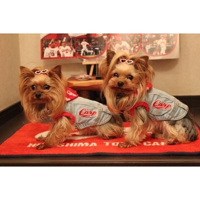 広島カープ公認 デニム ジージャン Lサイズ ブリーチ 犬服 ドッグウェア 3連覇 Carp Zizyan Bleach L プレミアムフード専門店asuka 通販 Yahoo ショッピング