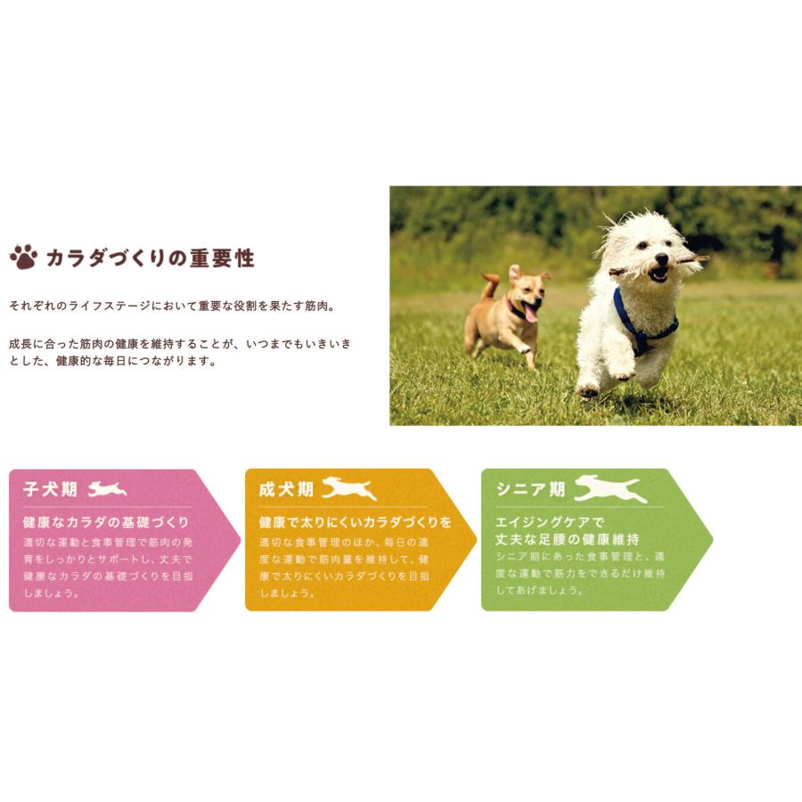 フィジカライフ 子犬用 チキン＆大豆入り 2kg ドッグフード 送料無料 パッケージ変更あり 賞味期限 2025年5月31日｜premium-asuka｜02