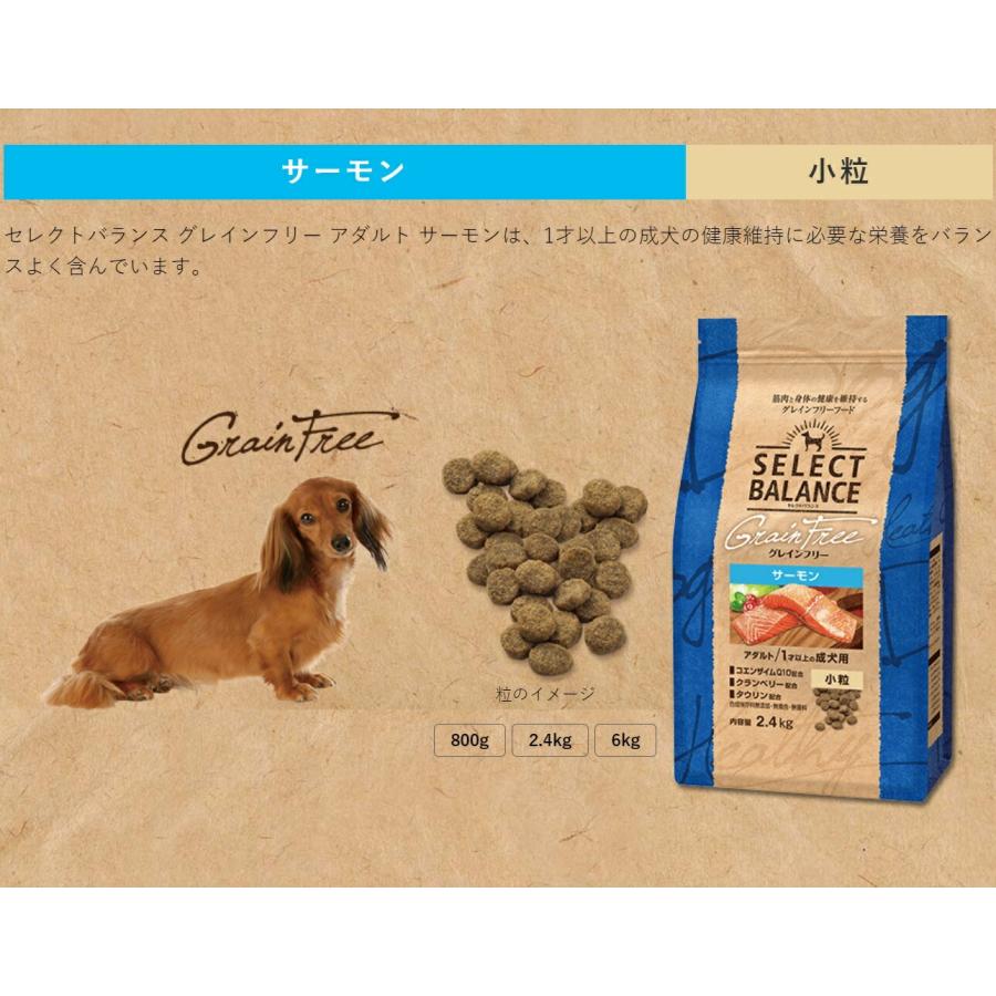 セレクトバランス グレインフリー サーモン アダルト 小粒 成犬 6kg ドッグフード 送料無料の画像