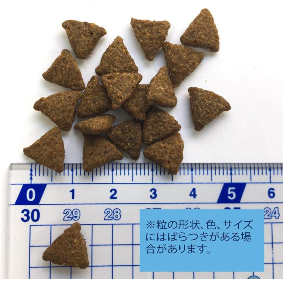 ウェルネス シンプル 小型犬用 成犬用 サーモン＆じゃがいも 800g ドッグフード 送料無料｜premium-asuka｜02