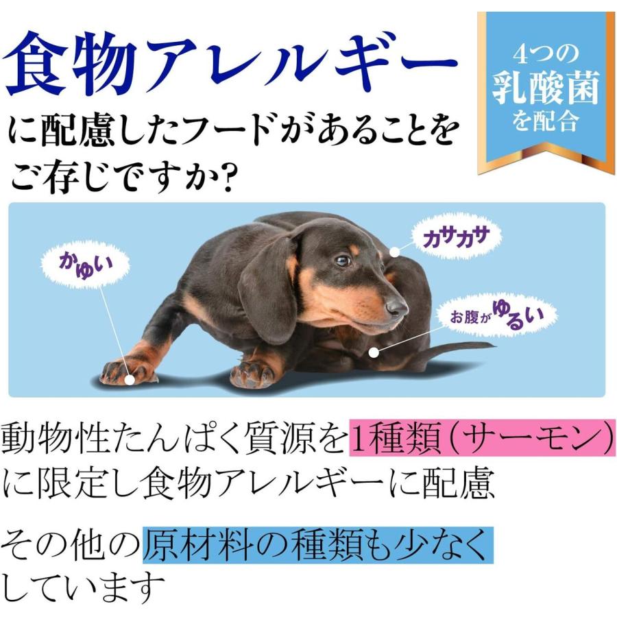 ウェルネス シンプル 小型犬用 成犬用 サーモン＆じゃがいも 800g ドッグフード 送料無料｜premium-asuka｜03