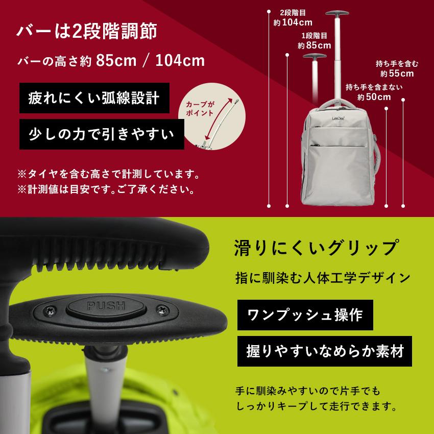 2wayキャリーバッグ リュック 機内持ち込み キャリーケース キャスター付きバッグ ソフトキャリーケース スーツケース 静音 ソフトキャリーバッグ 防災グッズ | LFF PREMIUM | 35