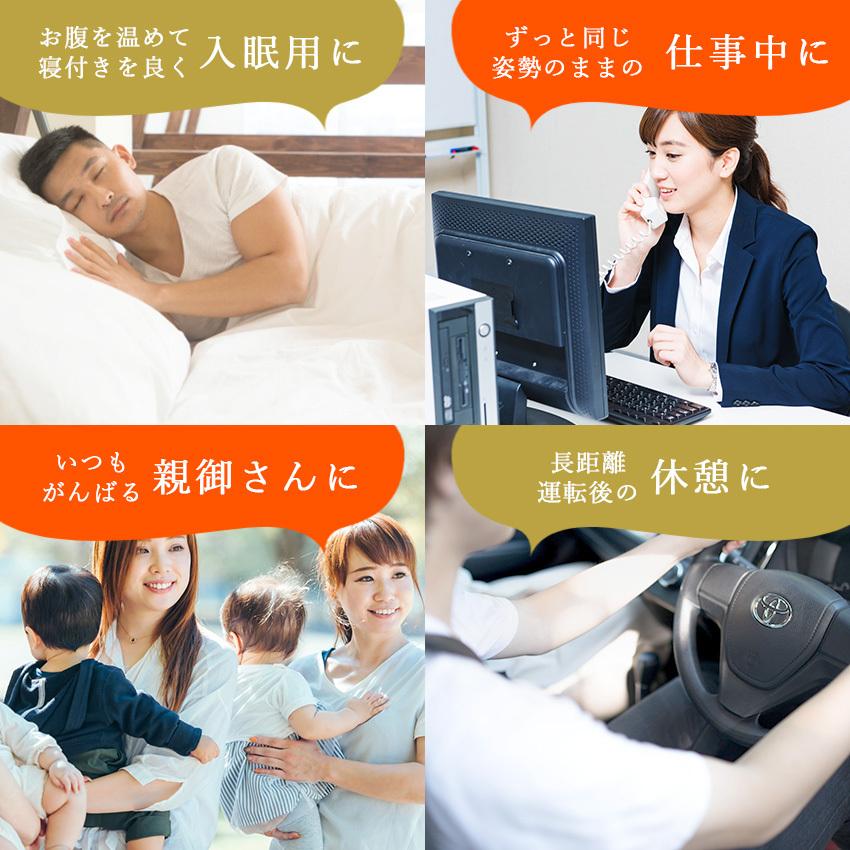 マッサージ器 EMS 腰ケア 運動補助器 電気刺激 低周波 温熱 腰 温め 機器 ベルト 健康 リラックス 腰周辺 ウエスト 男女兼用 癒し 寒さ対策 父の日 プレゼント | LaFuture | 17