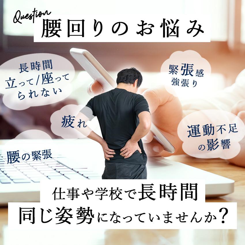 マッサージ器 EMS 腰ケア 運動補助器 電気刺激 低周波 温熱 腰 温め 機器 ベルト 健康 リラックス 腰周辺 ウエスト 男女兼用 癒し 寒さ対策 プレゼント | LaFuture | 09