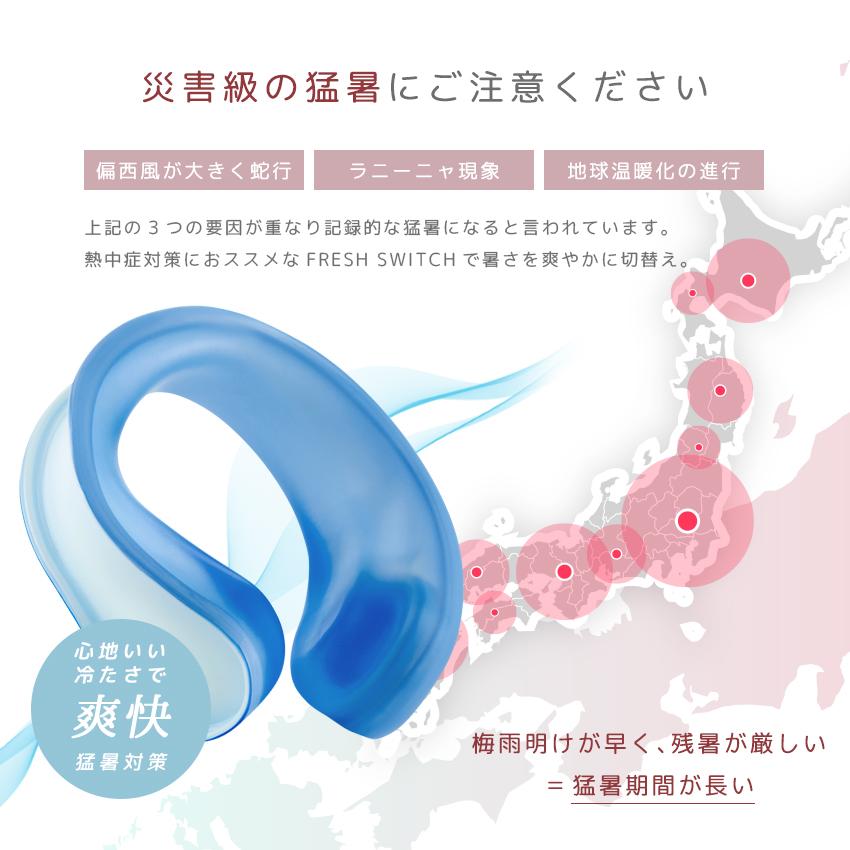 2026改良 ネッククーラー 氷嚢 氷のう 冷感タオル 保冷袋付 クール