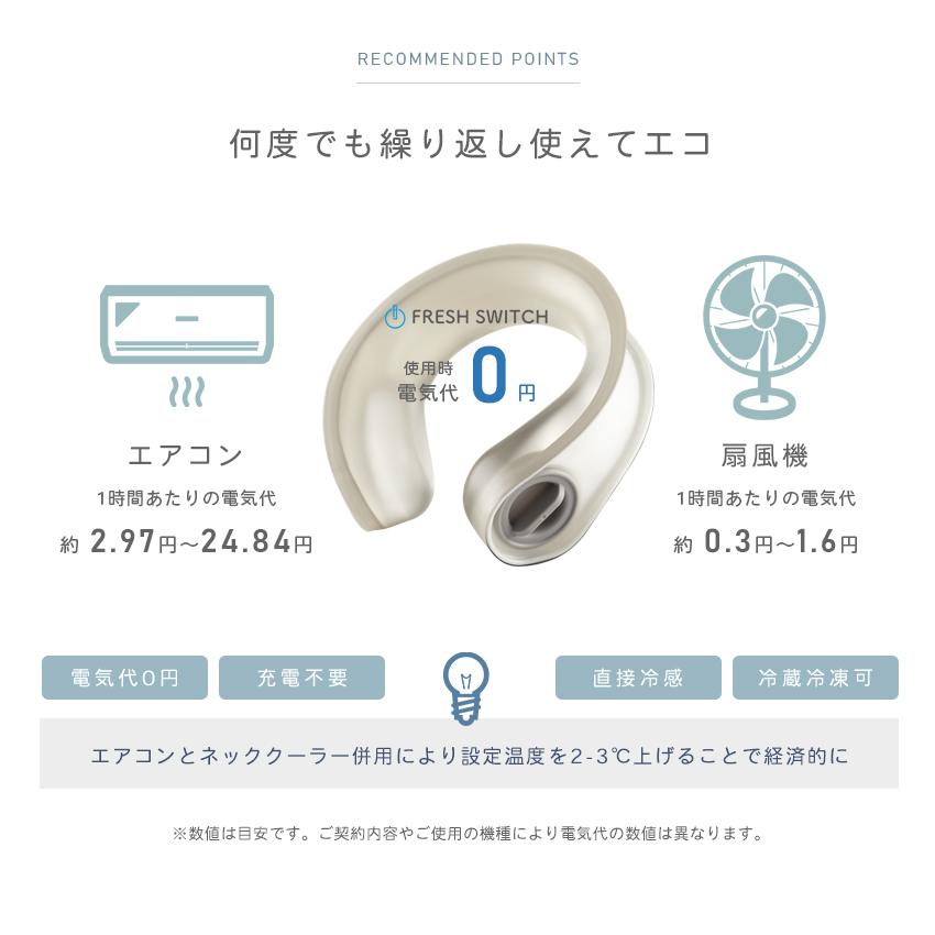 2026改良 ネッククーラー 氷嚢 氷のう 冷感タオル 保冷袋付 クール