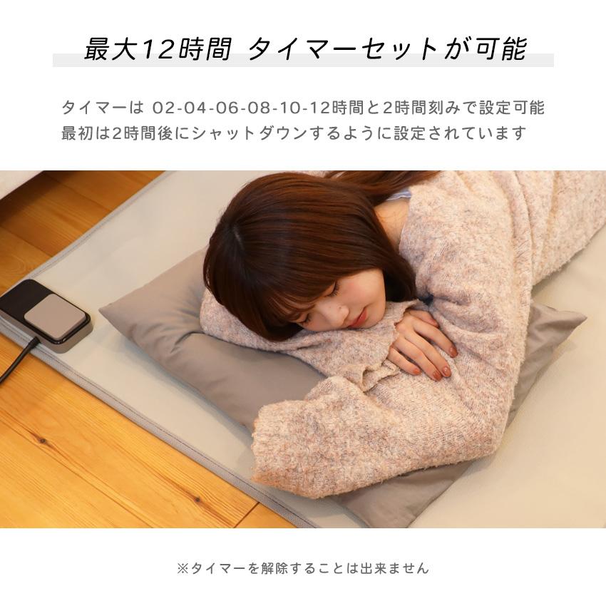 ホットカーペット リビング用 150×200cm 本体 即暖 速暖 節電 カーペット 電気カーペット 足元 軽量 滑り止め付 温度調節 Lafutureの画像
