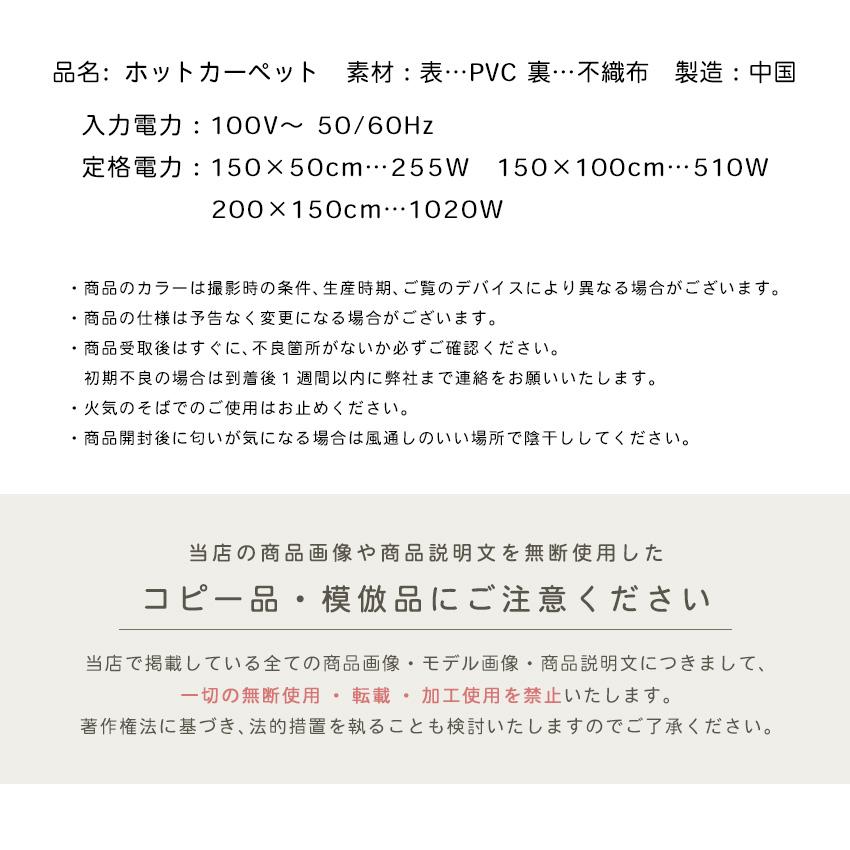 ホットカーペット リビング用 150×200cm 本体 即暖 速暖 節電 カーペット 電気カーペット 足元 軽量 滑り止め付 温度調節 Lafutureの画像