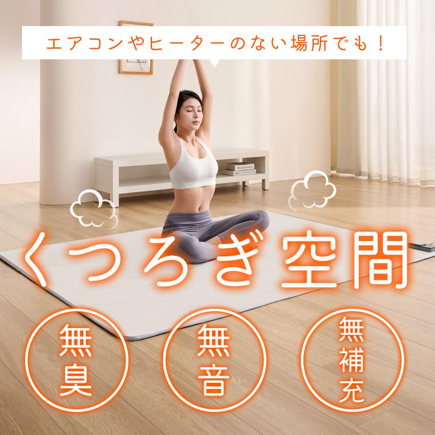 ホットカーペット リビング用 150×200cm 本体 即暖 速暖 節電 カーペット 電気カーペット 足元 軽量 滑り止め付 温度調節 Lafutureの画像