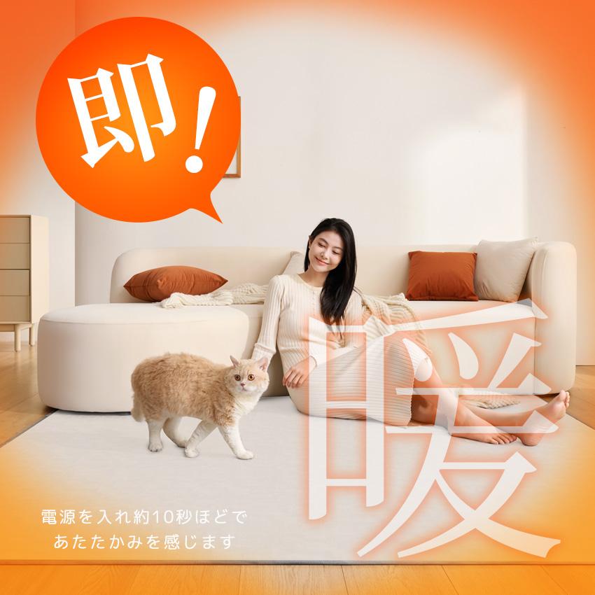 ホットカーペット リビング用 150×200cm 本体 即暖 速暖 節電 カーペット 電気カーペット 足元 軽量 滑り止め付 温度調節 Lafutureの画像